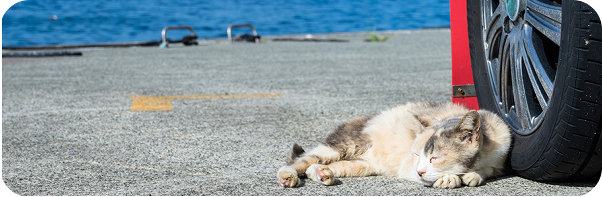 対応地域・交通費