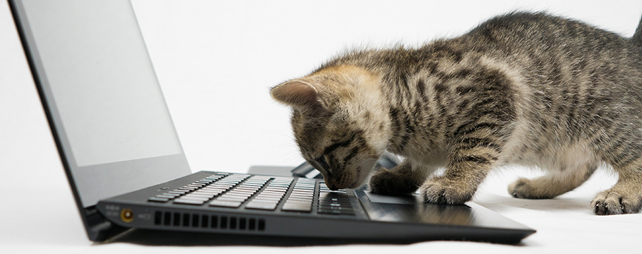 料金・お見積り