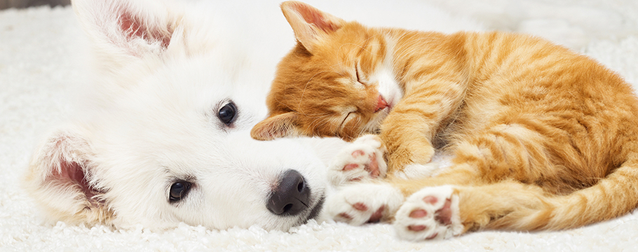 個人情報保護方針