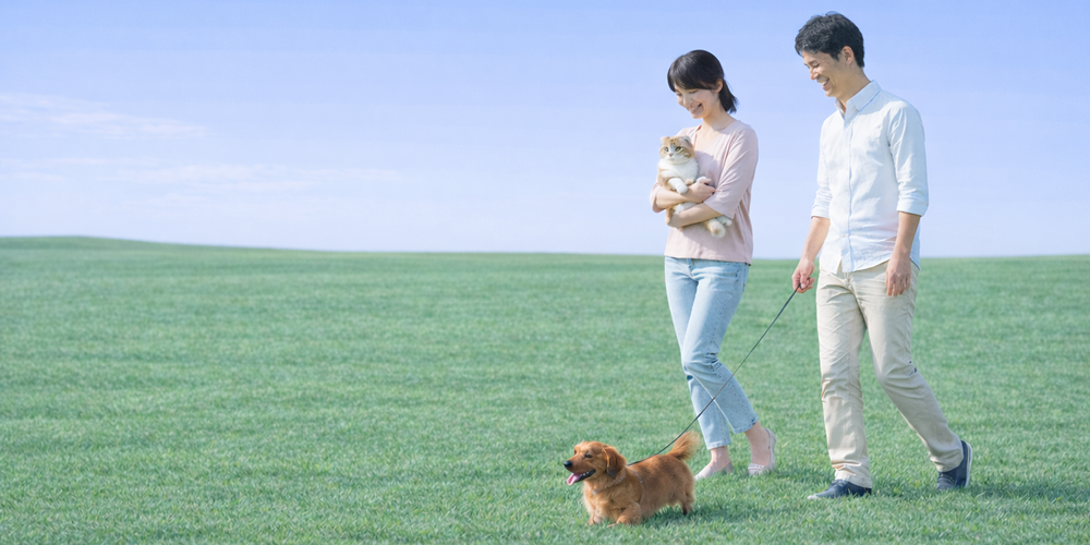 ペットセレモニー群馬